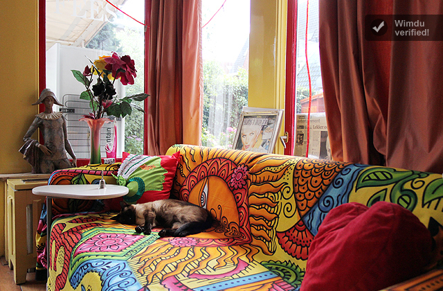 colorful livingroomplus siamese-1 colorful livingroomplus siamese-1