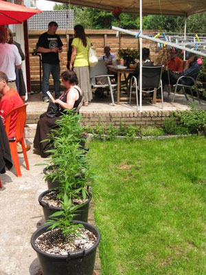 xie and titta the kabouter xie and titta the kabouter