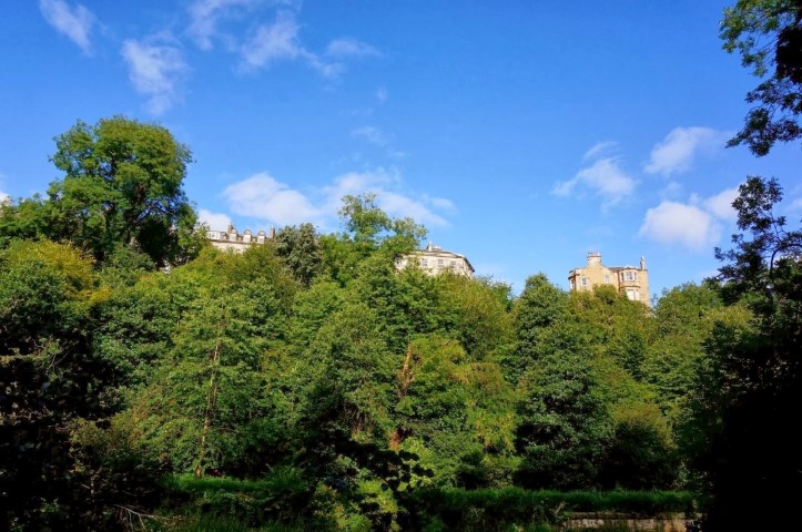 1294495_409187882526709_19728465_o