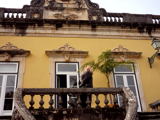 HOUSE-IN-PORTUGAL HOUSE-IN-PORTUGAL