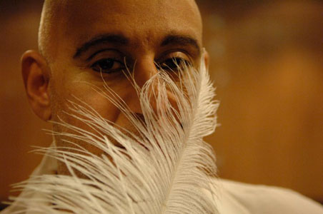 quite a gay picture with feathers quite a gay picture with feathers